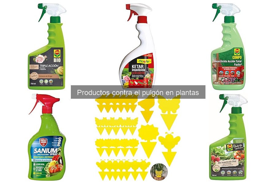 Efectividad de remedios caseros contra pulgones en plantas