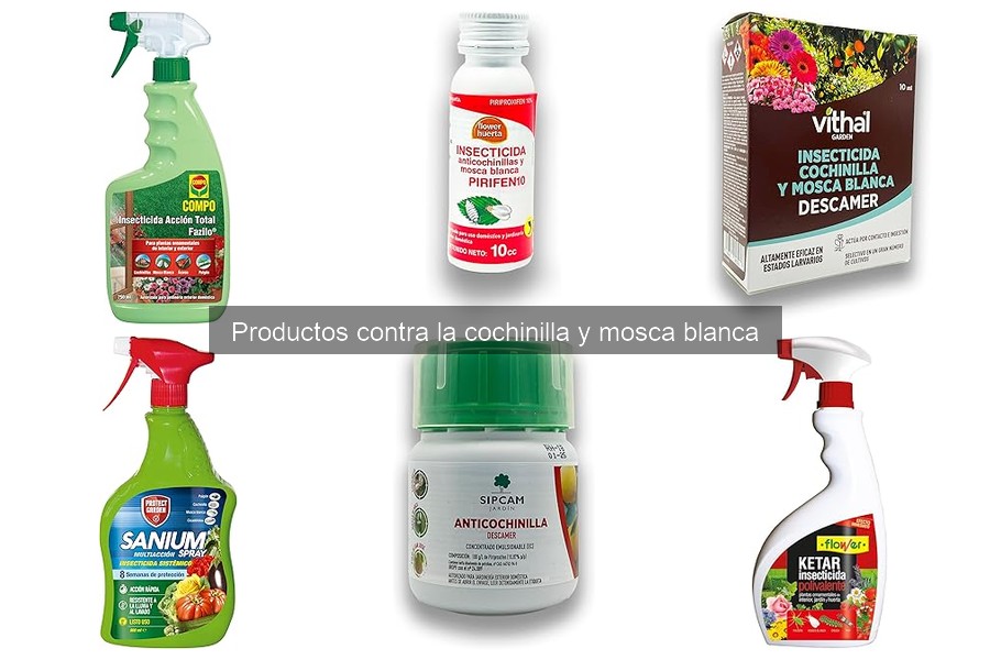 Efectos de la Cochinilla y Mosca Blanca en el Jardín