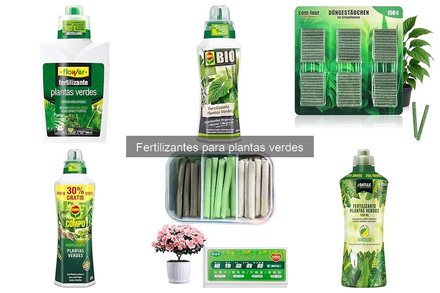 Efectos de la Sobre-fertilización en Plantas Verdes