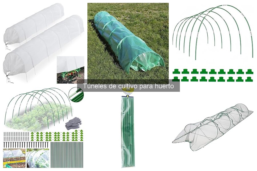 Efectos de los Túneles de Cultivo en la Producción de Plantas