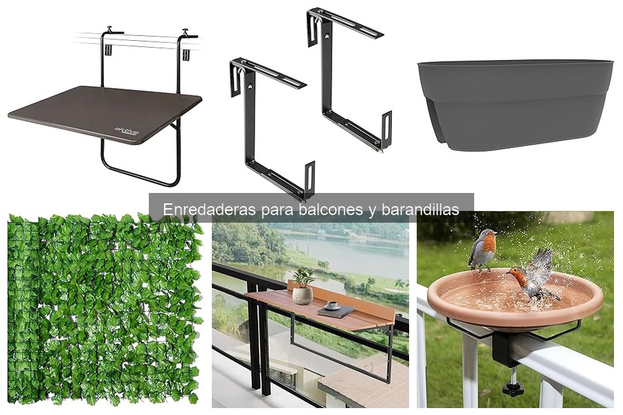 El mejor momento para plantar enredaderas en balcones