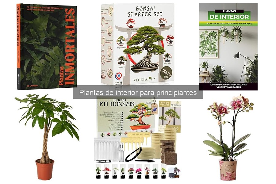 El mejor sustrato para plantas de interior: guía para principiantes