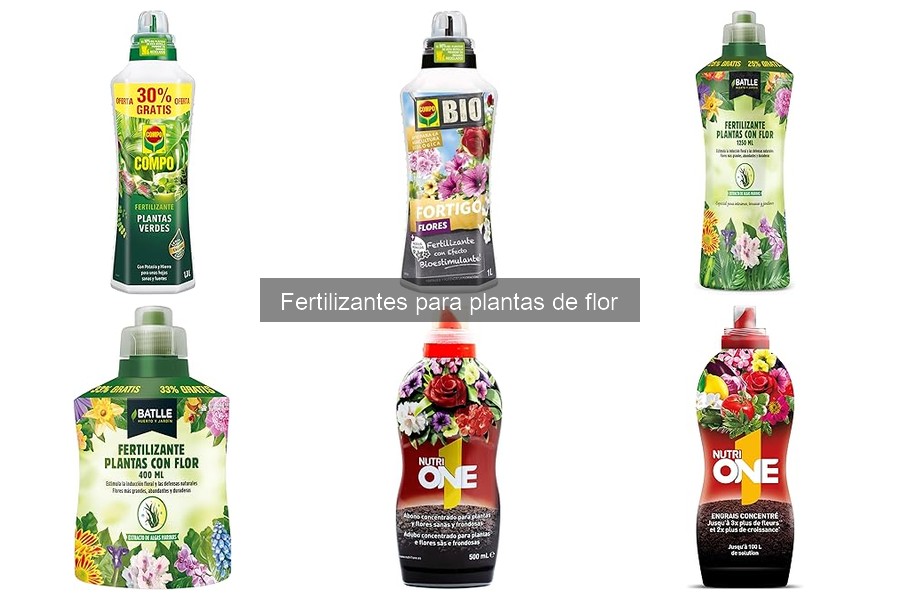 Elige el fertilizante ideal para plantas de flor según el suelo