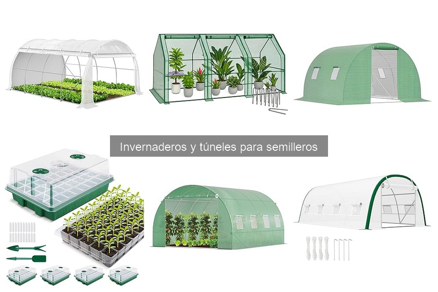 Elige el Tamaño Ideal de Invernadero para tu Jardín
