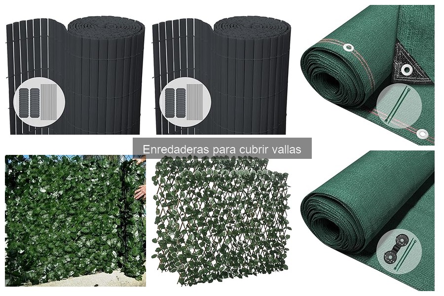 Enredaderas para cubrir vallas: la solución ideal para tu jardín