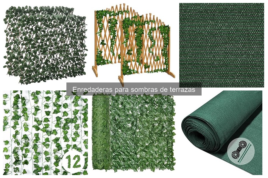 Enredaderas para sombras: Mejora la eficiencia energética de tu terraza
