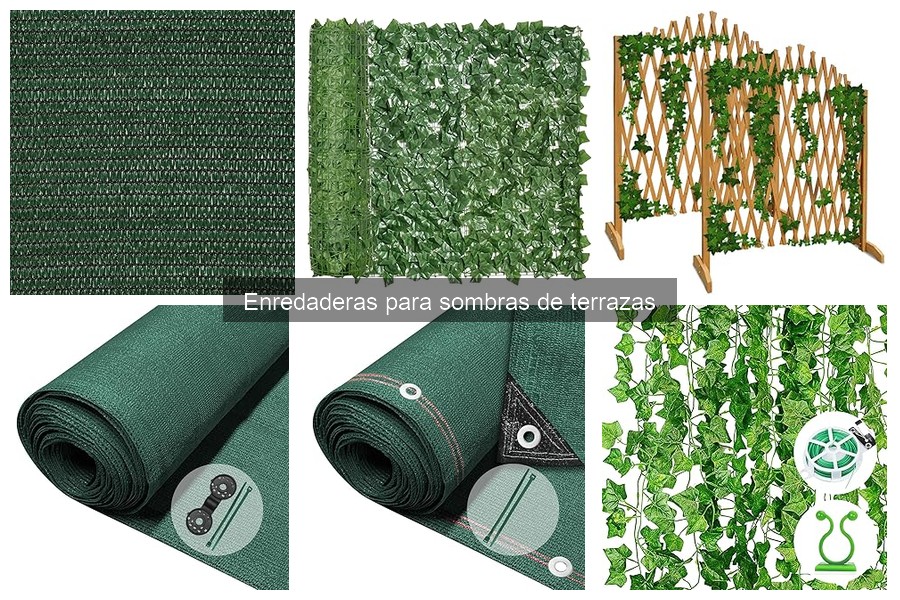 Enredaderas que florecen en sombra: guía esencial