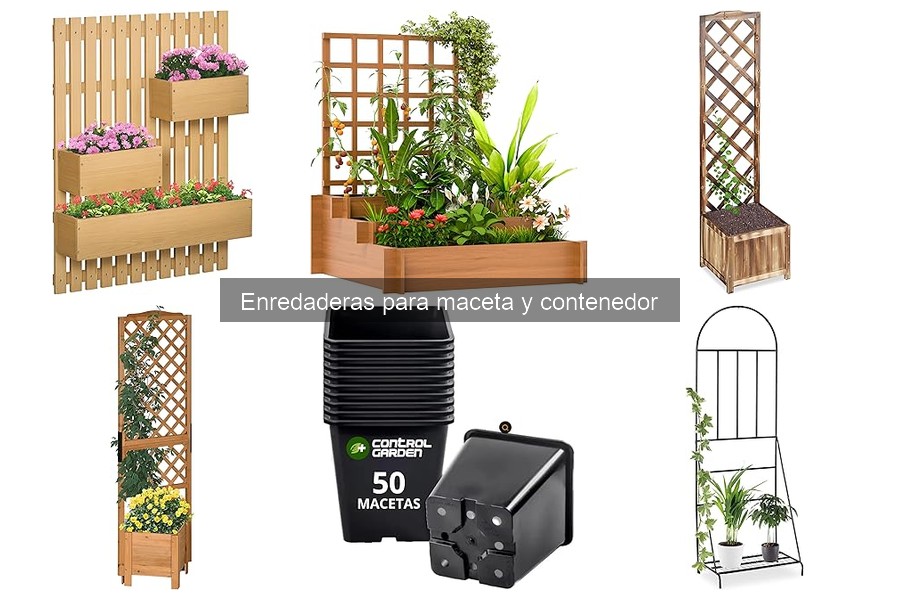 Enredaderas trepadoras vs. caedoras: ¿cuál elegir para tu jardín?