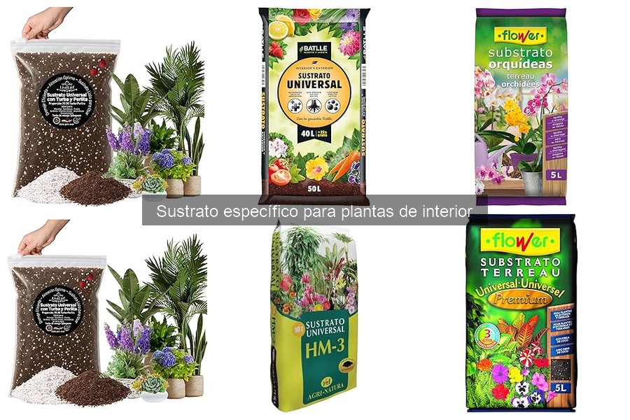 Enriquecer sustrato para plantas de interior: tips y materiales
