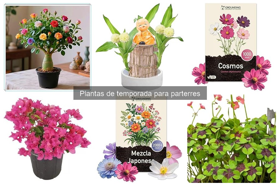 Errores al combinar plantas en parterres: ¡Evítalos!