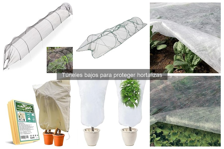 Errores al elegir túneles bajos para proteger hortalizas