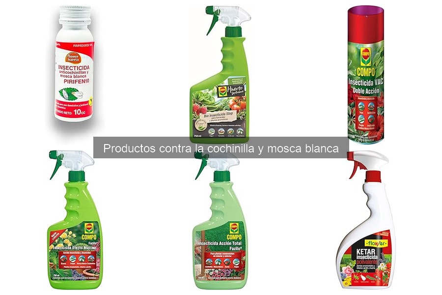 Errores comunes al combatir cochinilla y mosca blanca