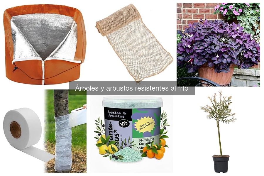 Errores comunes al cultivar arbustos resistentes al frío