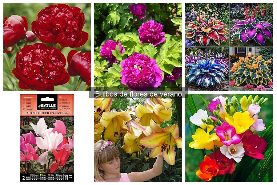 Errores comunes al cultivar bulbos de flores de verano