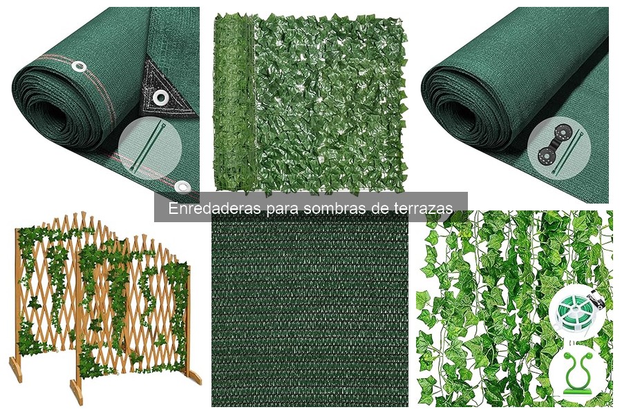 Errores comunes al cultivar enredaderas en sombra