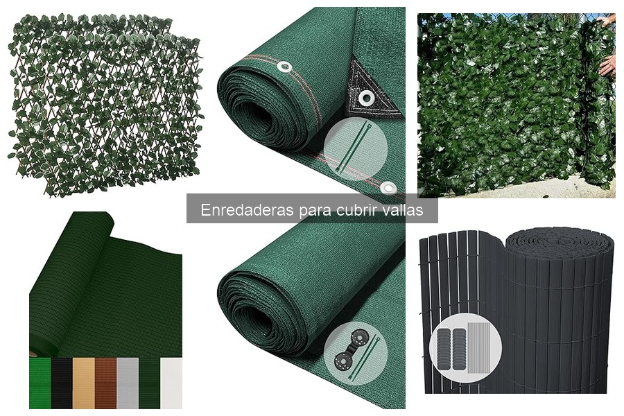 Errores comunes al cultivar enredaderas en vallas