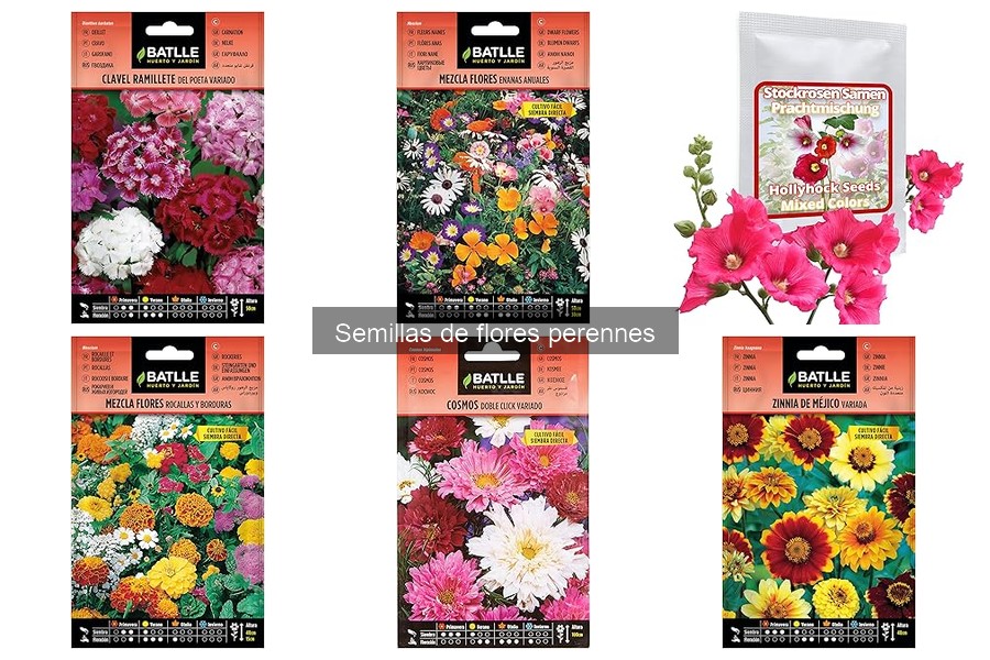 Errores comunes al cultivar flores perennes en tu jardín
