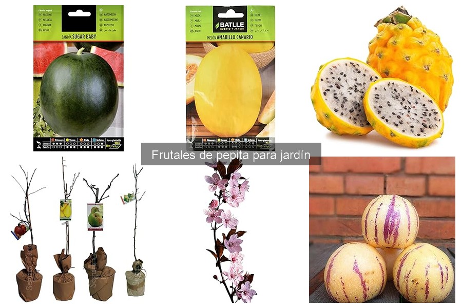 Errores comunes al cultivar frutales de pepita en tu jardín