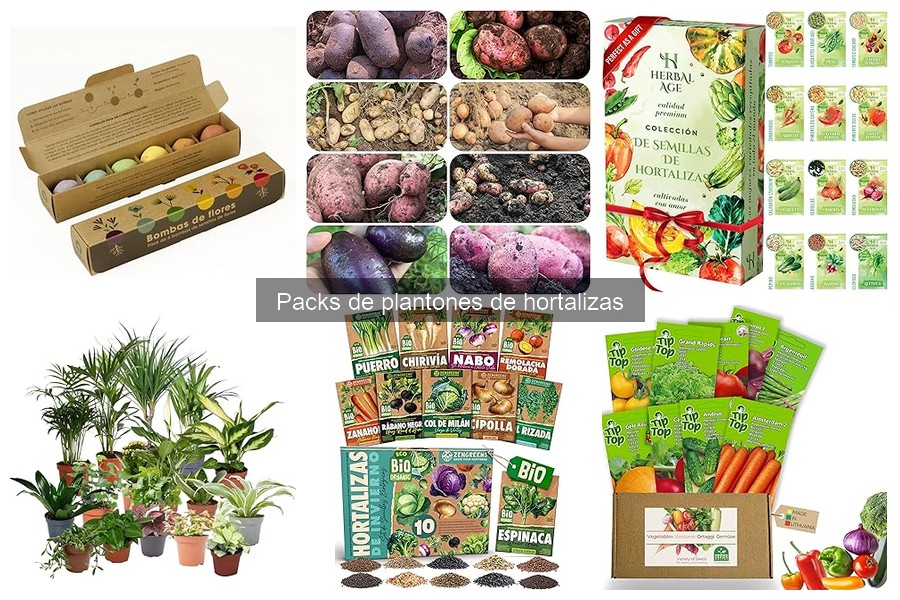Errores comunes al cultivar hortalizas a partir de plantones