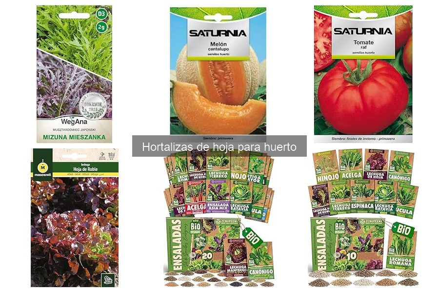 Errores comunes al cultivar hortalizas de hoja en huertos