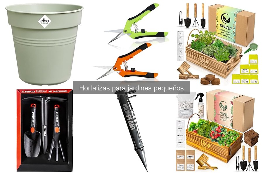 Errores comunes al cultivar hortalizas en espacios pequeños