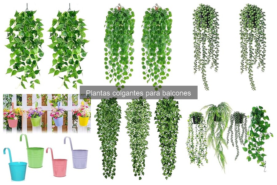 Errores comunes al cultivar plantas colgantes en balcones
