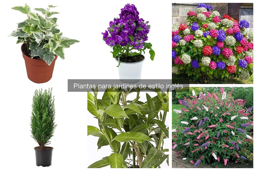 Errores comunes al cultivar plantas en jardines ingleses