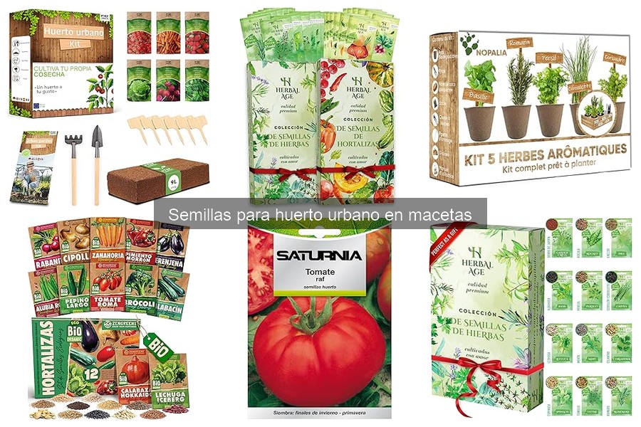 Errores comunes al cultivar semillas en macetas