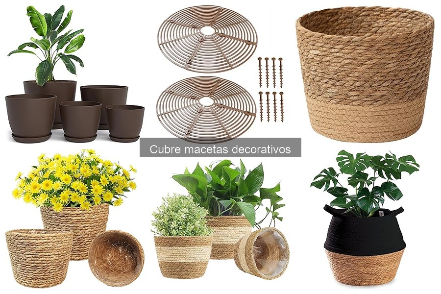 Errores comunes al elegir cubre macetas decorativos