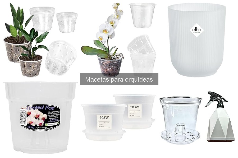 Errores comunes al elegir macetas para orquídeas