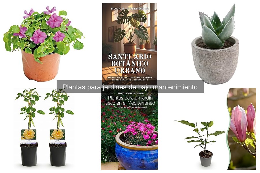 Errores comunes al elegir plantas de bajo mantenimiento