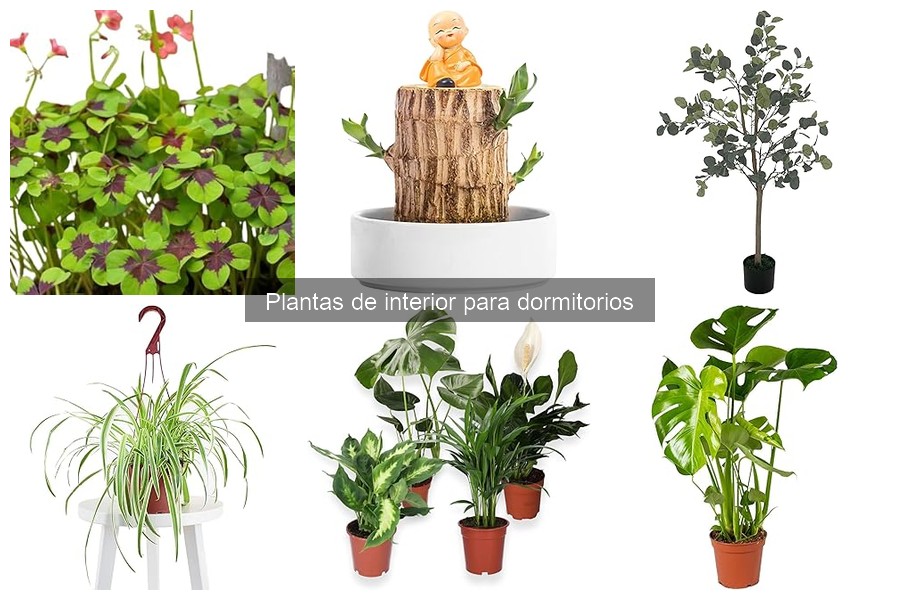 Errores comunes al elegir plantas de interior para dormitorios