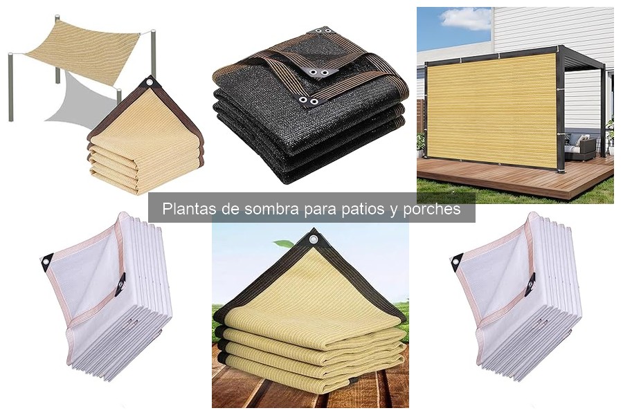 Errores comunes al elegir plantas de sombra en patios