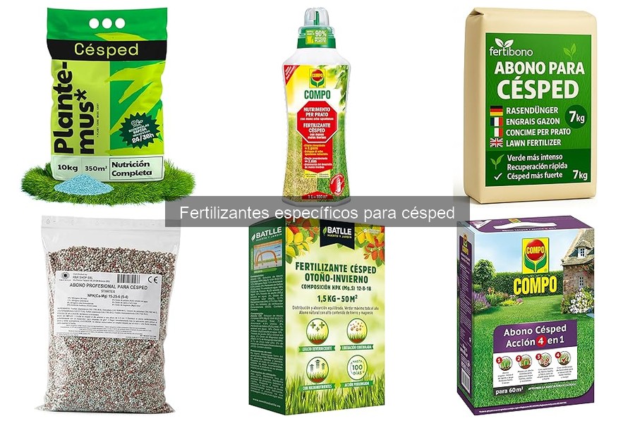 Errores comunes al fertilizar el césped y cómo evitarlos