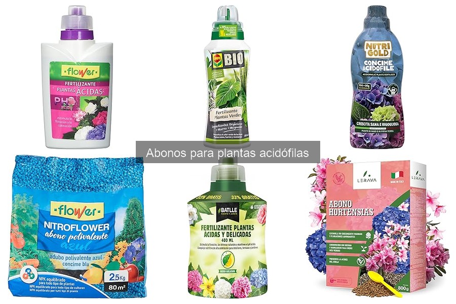 Errores comunes al fertilizar plantas acidófilas