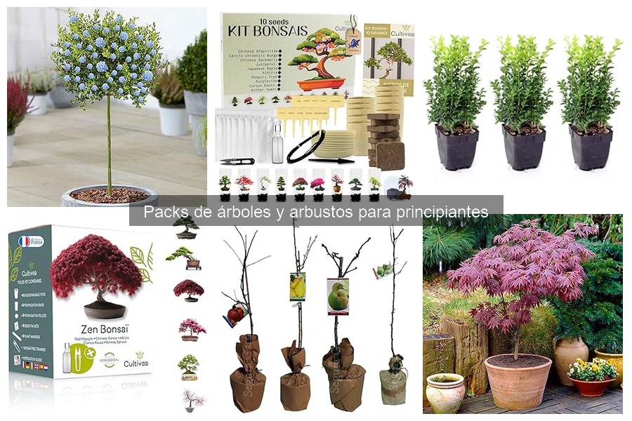 Errores comunes al plantar árboles y arbustos para principiantes