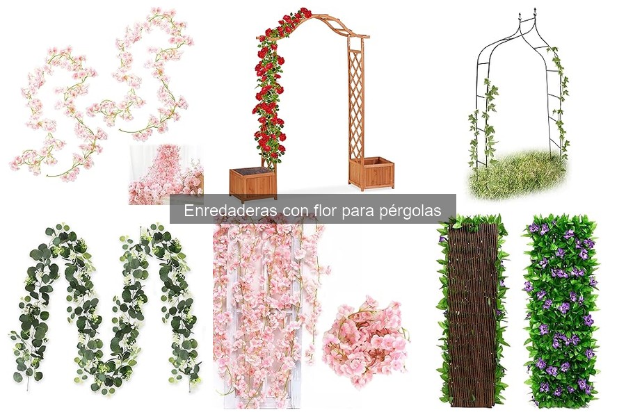 Errores comunes al plantar enredaderas con flor en pérgolas
