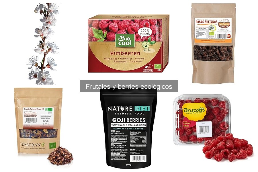 Errores comunes al plantar frutales y cómo evitarlos