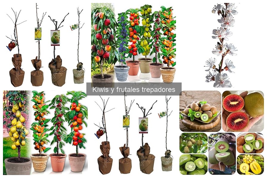 Errores comunes al plantar kiwis en tu jardín