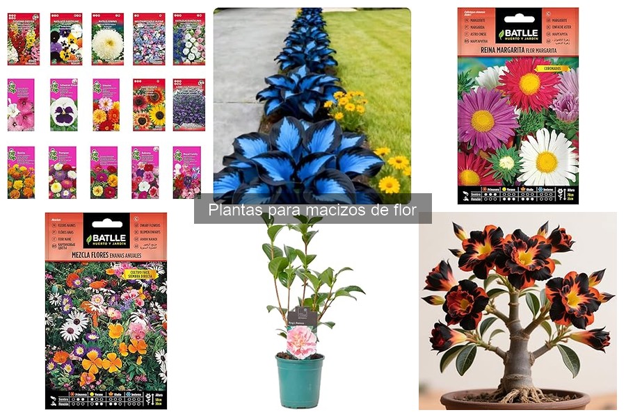 Errores comunes al plantar macizos de flores y cómo evitarlos