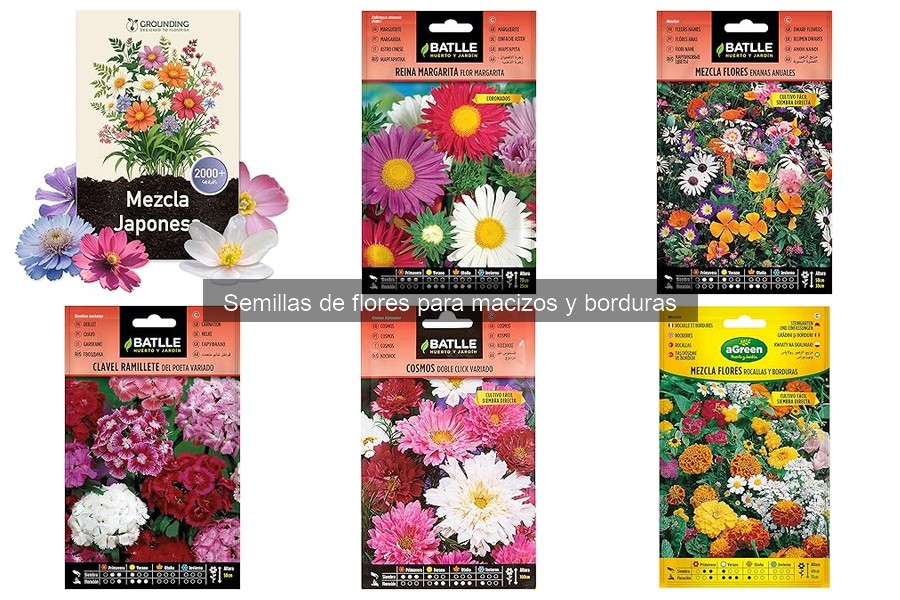 Errores Comunes al Sembrar Semillas de Flores en Borduras