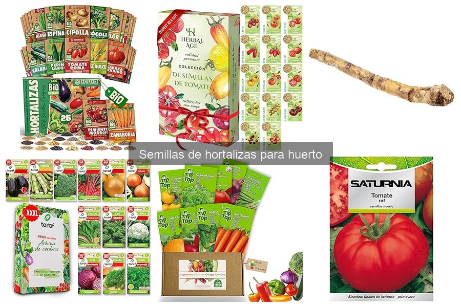 Errores comunes al sembrar semillas de hortalizas y cómo evitarlos