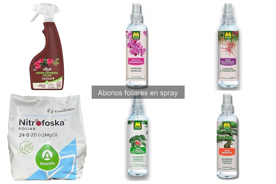 Errores comunes al usar abonos foliares en spray