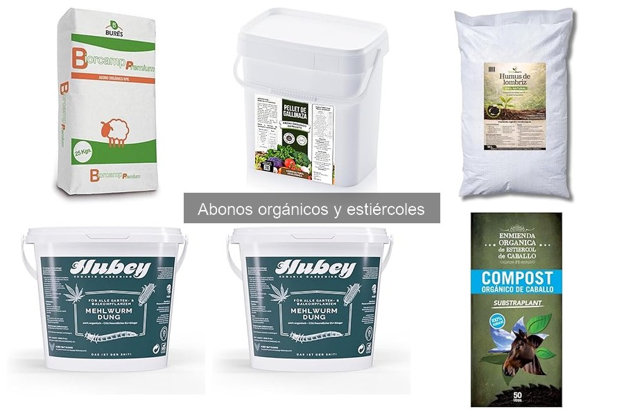 Errores comunes al usar abonos orgánicos y soluciones