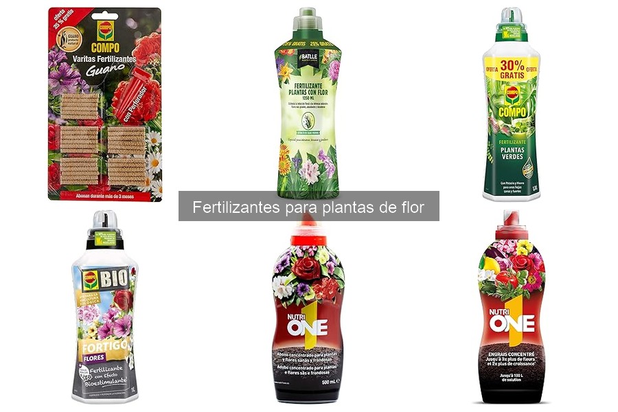 Errores comunes al usar fertilizantes en plantas de flor