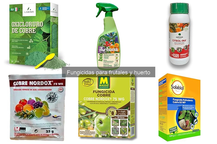 Errores comunes al usar fungicidas en frutales y huertos