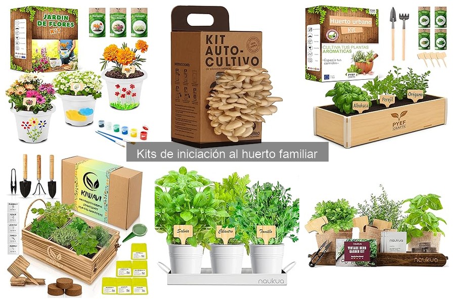 Errores comunes al usar kits de huerto y cómo solucionarlos