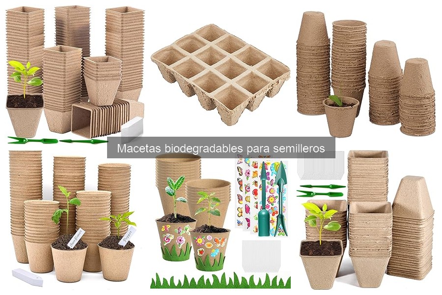 Errores comunes al usar macetas biodegradables para semilleros