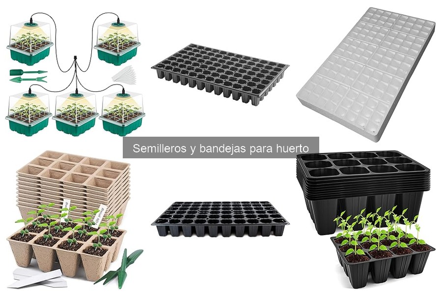 Errores Comunes al Usar Semilleros y Cómo Solucionarlos