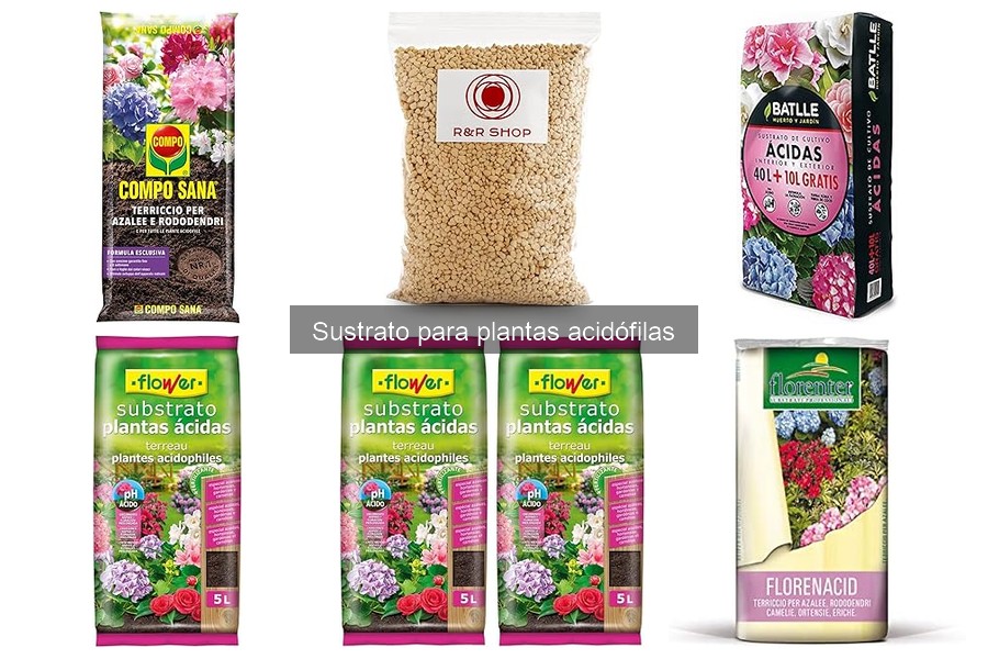 Errores comunes al usar sustrato para plantas acidófilas